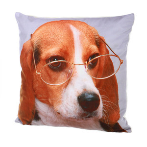 Ładna poduszka z nadrukiem psa w okularach Rozmiar: 45×45 cm Materiał: 100% poliester
